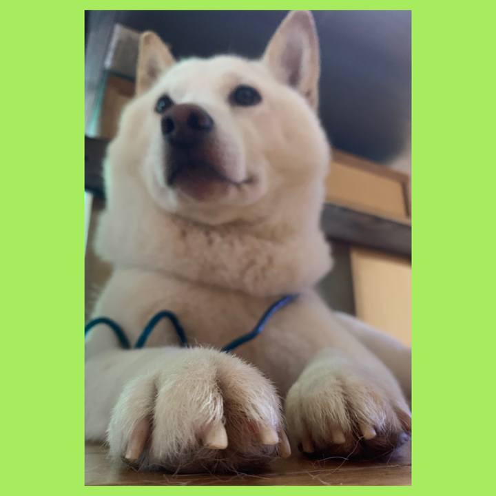 11be63df ab57 4548 a89a 370c08312525 1594419007089