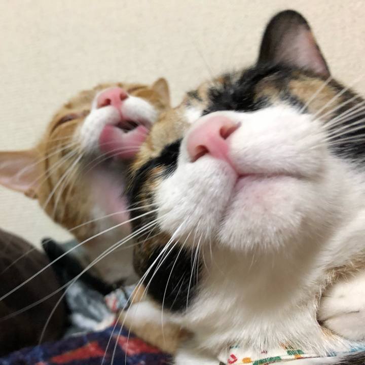 11be7921 f28c 459a 8756 30b3bff27942 1572589501253