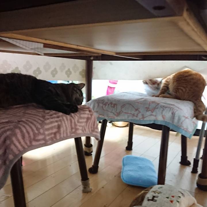 11be7dd9 5ab3 4041 9822 42422ccd49dc 1639949694962