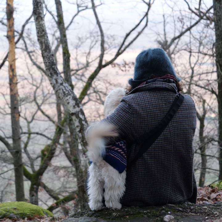 11be90a1 8717 48a6 b4df 86b4b1a79b76 1767296527056