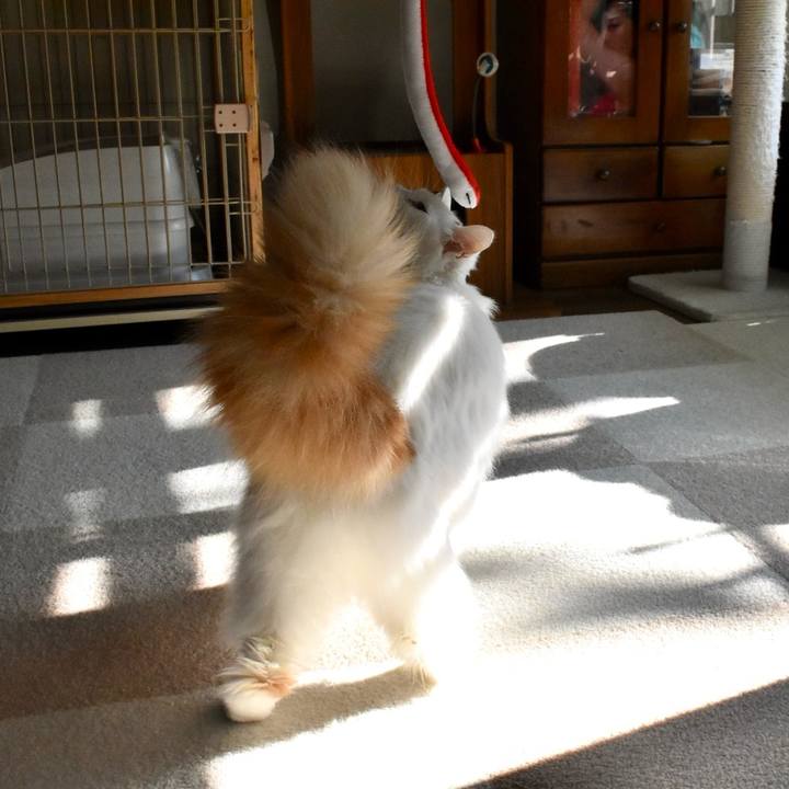 11be9ac0 64ba 43bd 9b62 928d85bb2945 1768096415128