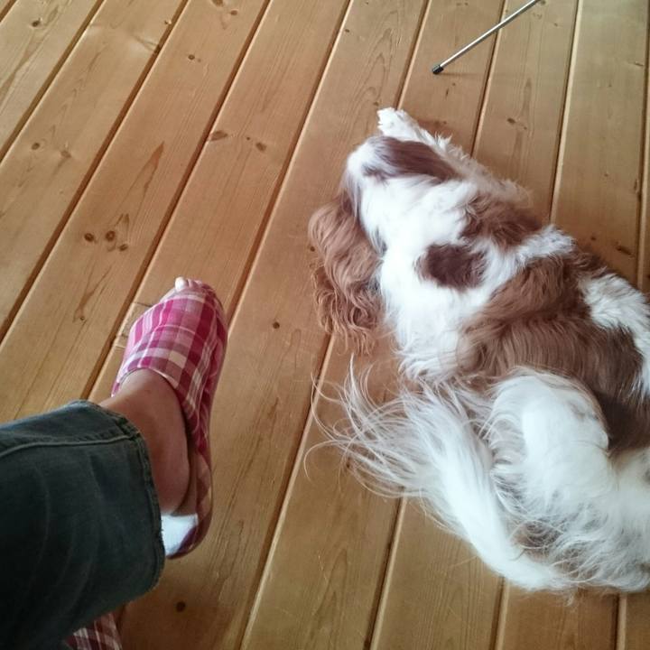 11bedb66 df65 4edd bf54 1498fbc93e69 1536020193310