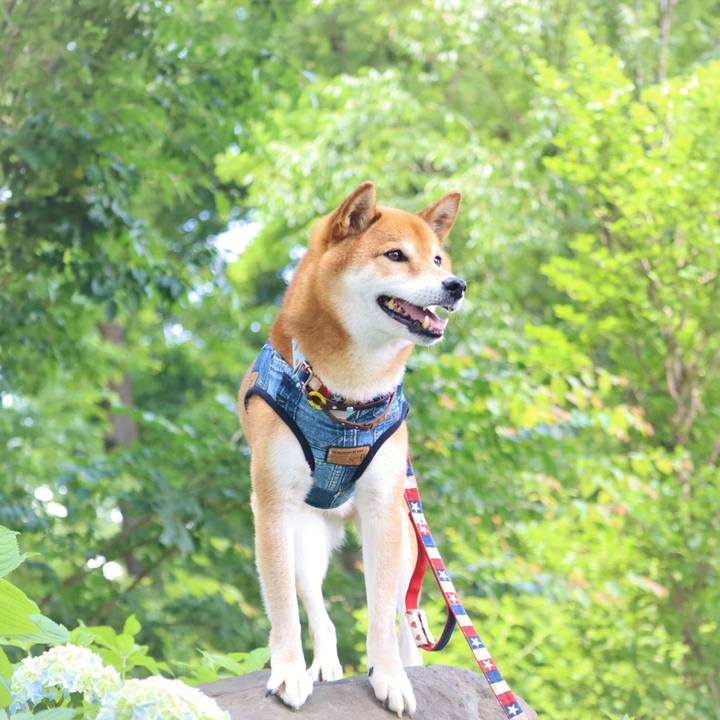 11bee03b 41c5 4dbb ab87 634ef5d8d069 1654518168543