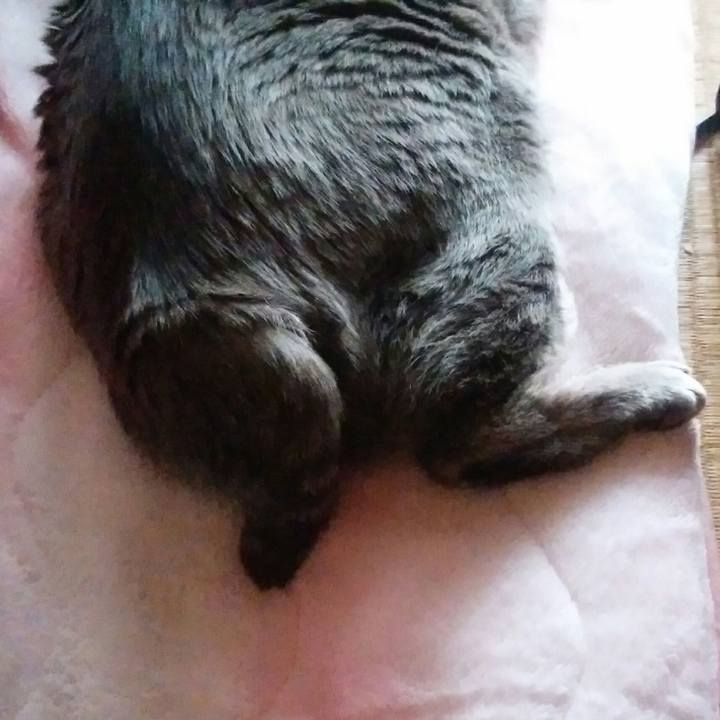 11bf8b70 5742 4d77 a566 8a2c79d7c336 1580095422814