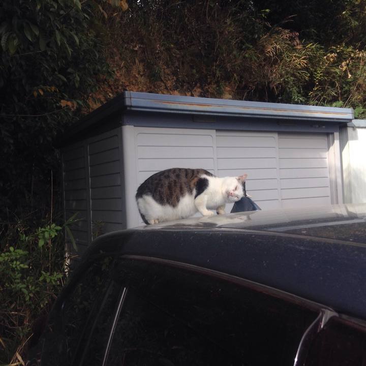 11bfb511 f9f6 431d 81e1 6990e94a73c2 1541310041691