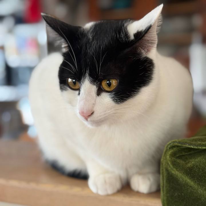 11bfbcf6 207f 4db1 b905 c3dbc2e9dfa4 1772764990744