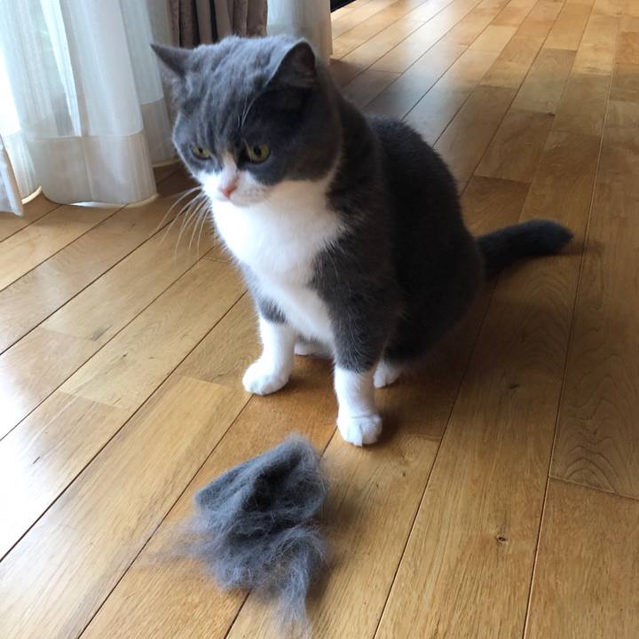 11bfd74d 25d7 4059 a63a c5b7239acc04 1563008154222