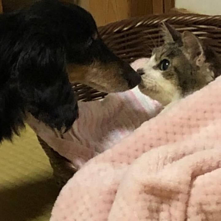 11bffa3d 8bde 4b73 b4d0 372282a061ad 1569456639976