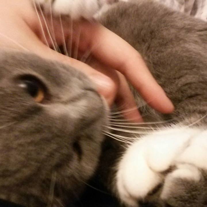 11c059a3 a042 4002 8ad1 3c7812c2d605 1539124894324