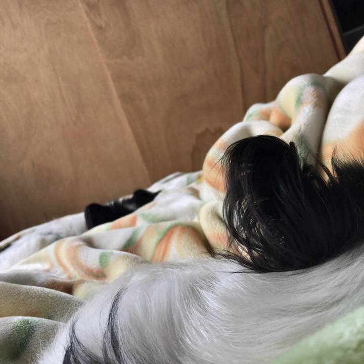 11c06434 9afe 4ca5 a0b3 733f00d0291c 1544707724741