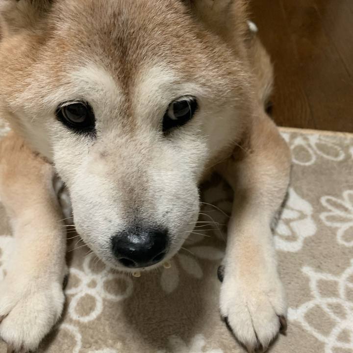 11c075f2 c409 43b8 b298 6723db483e7f 1661956664968