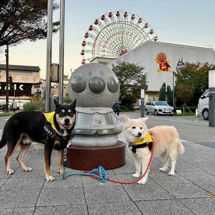 11c0b458 3564 4efb a008 c36a07b22f62 1731423353965