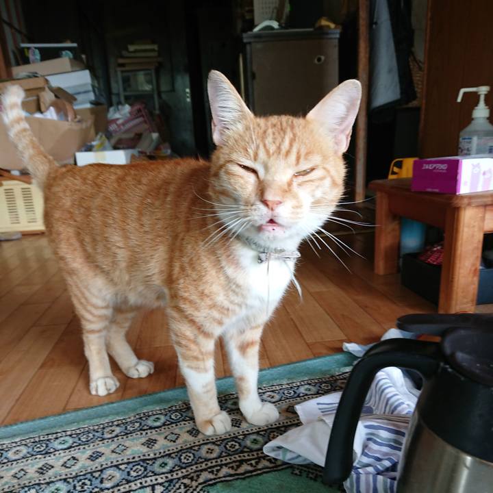 11c0c6ce ecef 439c b843 e2ef0b116041 1595058728660