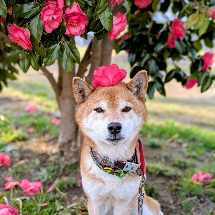 11c0cbe5 0a56 48bb 8759 6735c73982d6 1742722384010