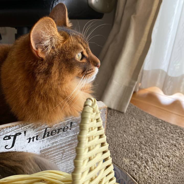 11c10845 dc1b 4fed 90a0 cbf1beaaae0f 1680913734420