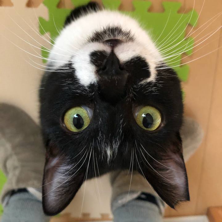 11c117c7 bb91 424a a811 f3c45ef44390 1544299616793