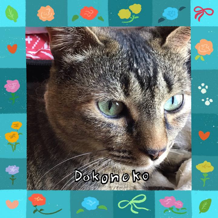 11c11e60 ceaf 4bda a9b0 3a1972d0f369 1714893520709