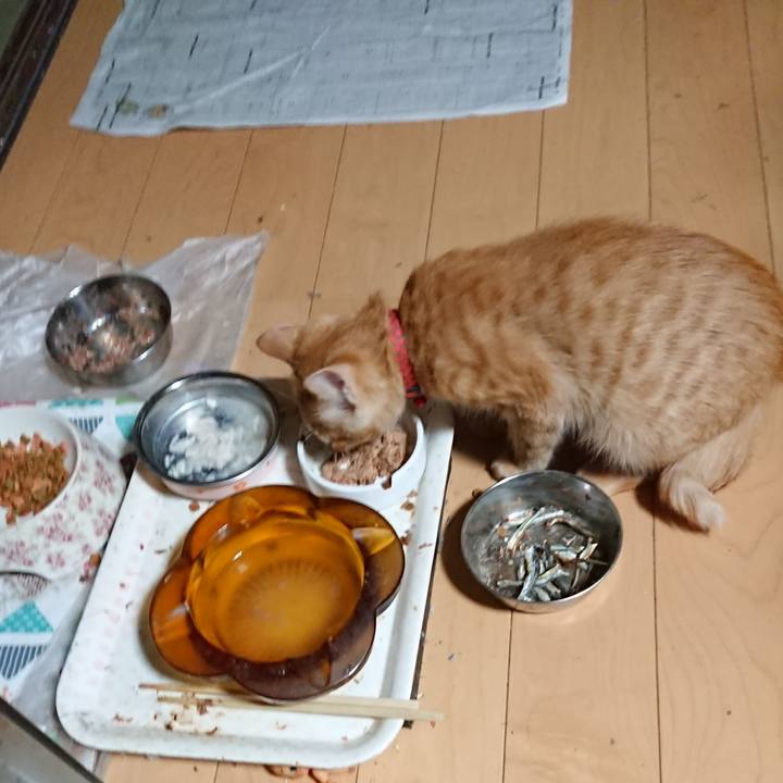 11c121d5 6170 4ce1 8d5b c55b19eda383 1633120045632