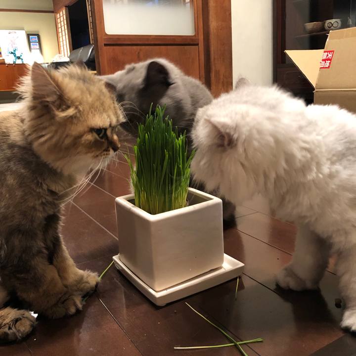 11c19016 cb70 429a 8de3 4caedd4d8d6c 1561033353119