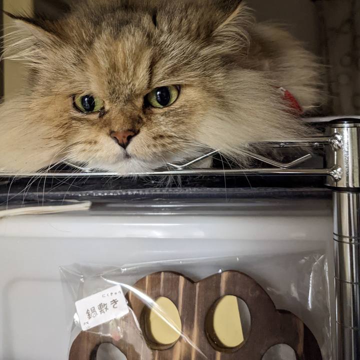 11c192b5 99bf 4b53 a029 d1cdbaf50259 1669816788543