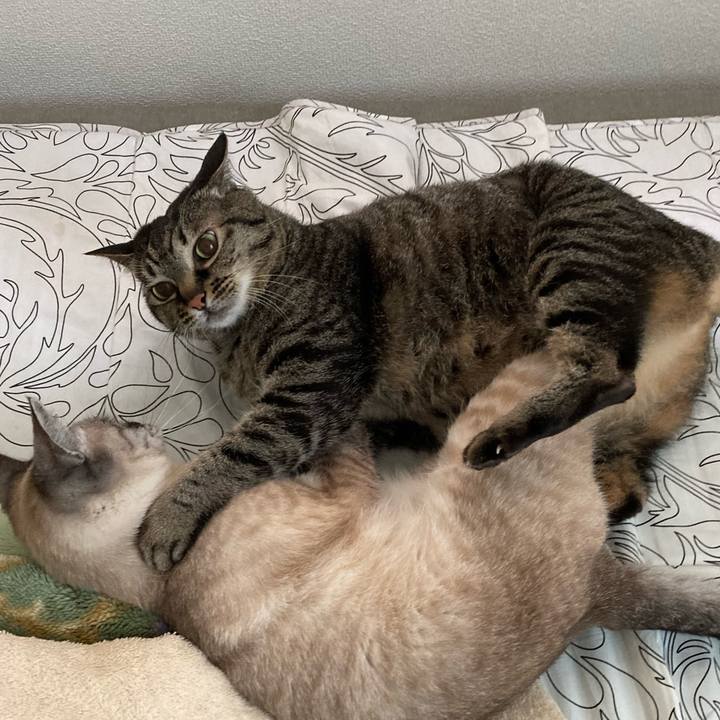 11c194e4 5cc0 4cbe 8750 8d9bc248b750 1652485755570