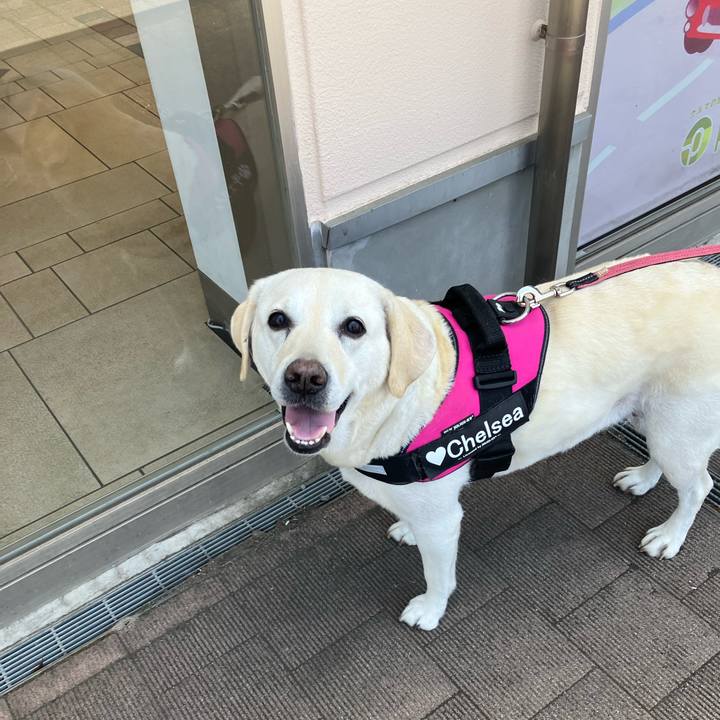 11c1c235 51b1 4c1b ab7e bc980f5e389d 1683322332936