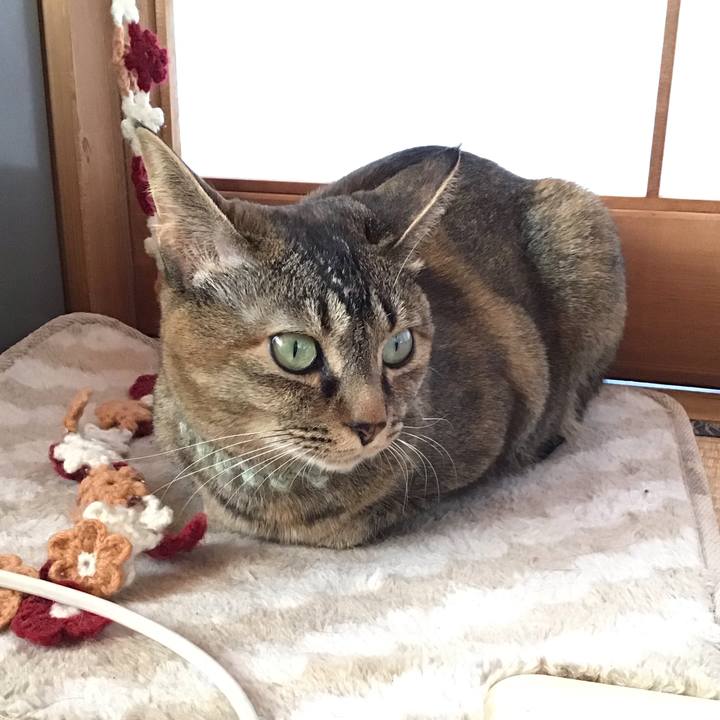 11c1d740 8ed9 46f3 85cf daeae65a2ae5 1645831219239