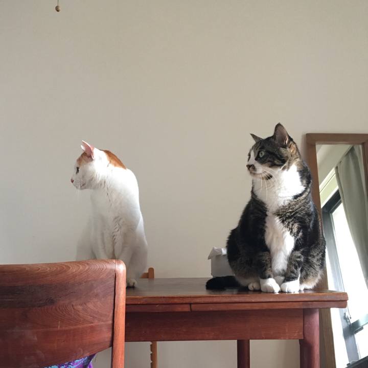 11c1db61 155c 4497 a8fd 253c523084fb 1518309805596