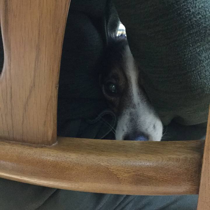 11c1fdf5 12ec 410d 803a e2a3935e032d 1517737251261