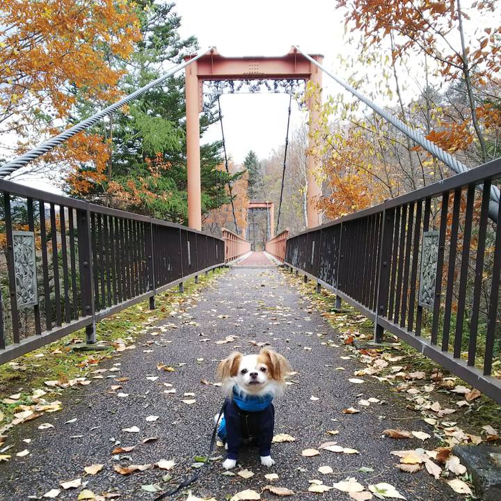 11c24df9 2c19 4286 84be 11301192492d 1509256498074