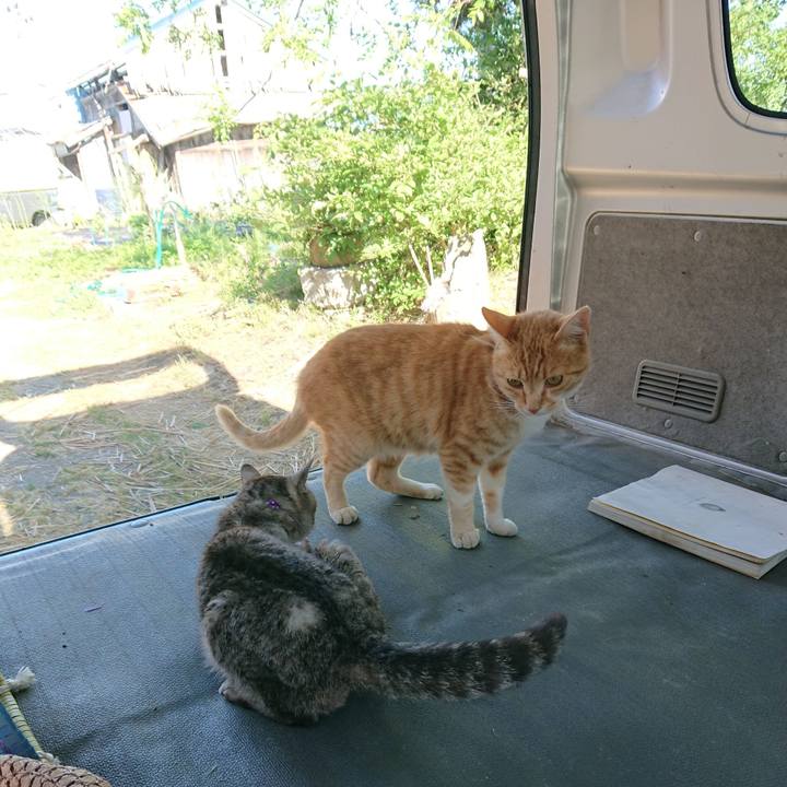 11c2712a 11bf 443a b74e 3c0ecd402af4 1592640624260