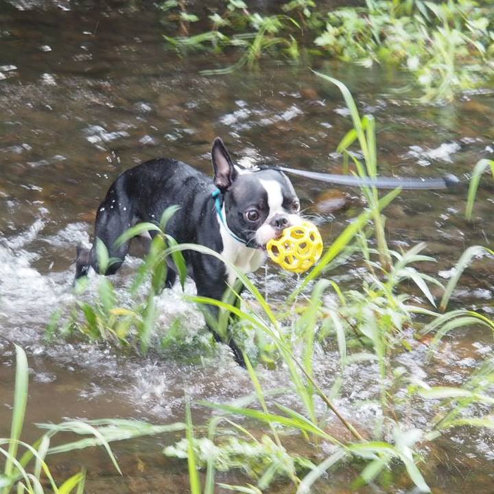 11c2b56c 2d22 406b 844c 7197fe1fcdde 1564274710853