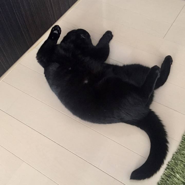 11c2e5d6 ebd1 4c96 a53f daadaed04c50 1538179828994