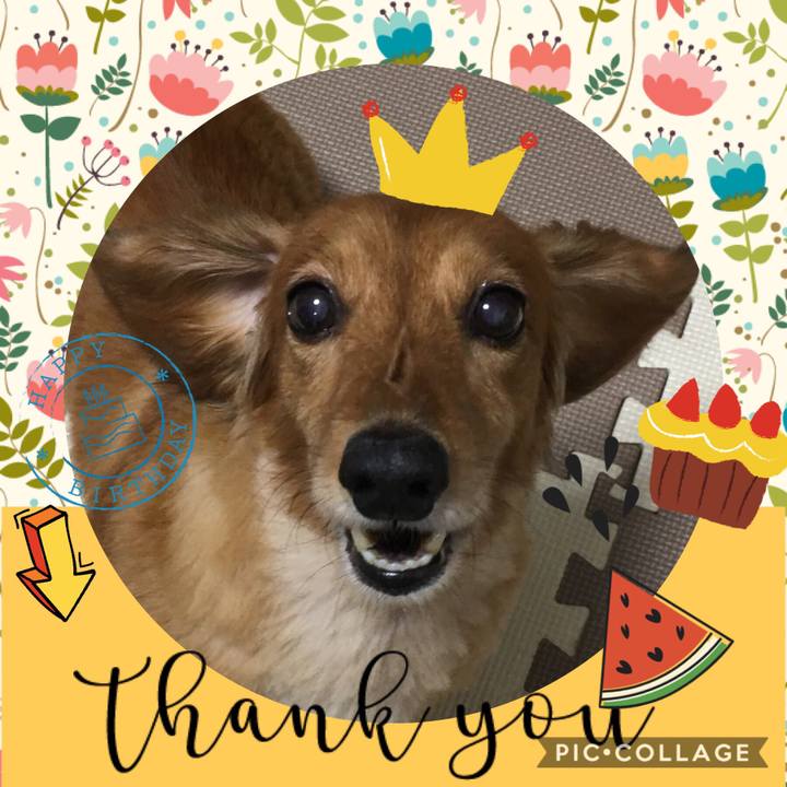 11c34c9d 4a9b 4530 bab7 171ebe71ed95 1532525915771