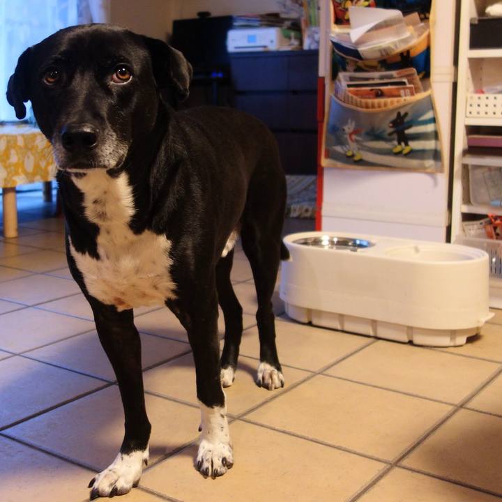 11c38e01 bb42 43db 904a ccb5f2cf1136 1673742671049