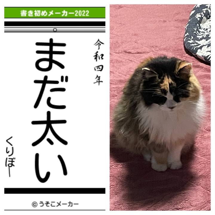 11c38e84 a2c1 4f15 b0a1 e34b4a167e08 1641122134139