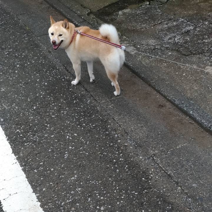 11c3cafb 4e1c 4030 9d94 a85fd6ee240f 1593208808002