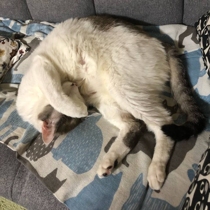 11c3dc54 b956 4404 b0cd f130c3c37179 1655564361565