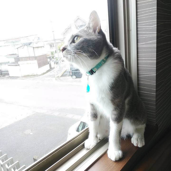 11c3ed8a 6474 4000 8cf2 9545464d1342 1594851962149