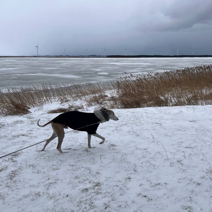 11c3fd94 04b3 4494 96e2 b3f0139bb111 1767600891082