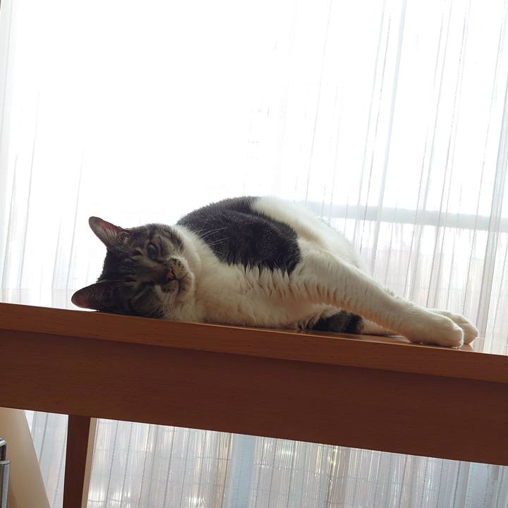 11c4353b 2ff3 4423 a5b9 178d46e977c1 1627771024481