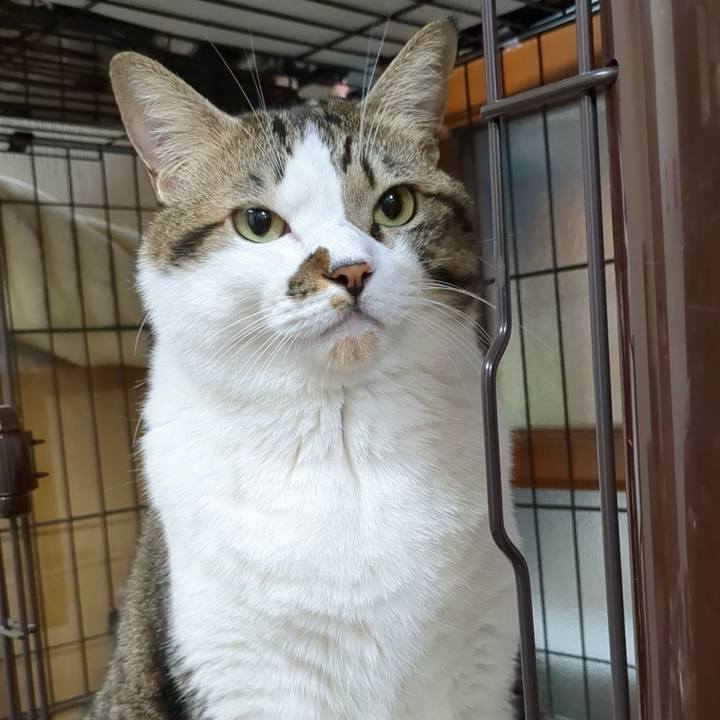 11c4373e fa28 4ab9 ba56 4c882cc938f0 1699104328576