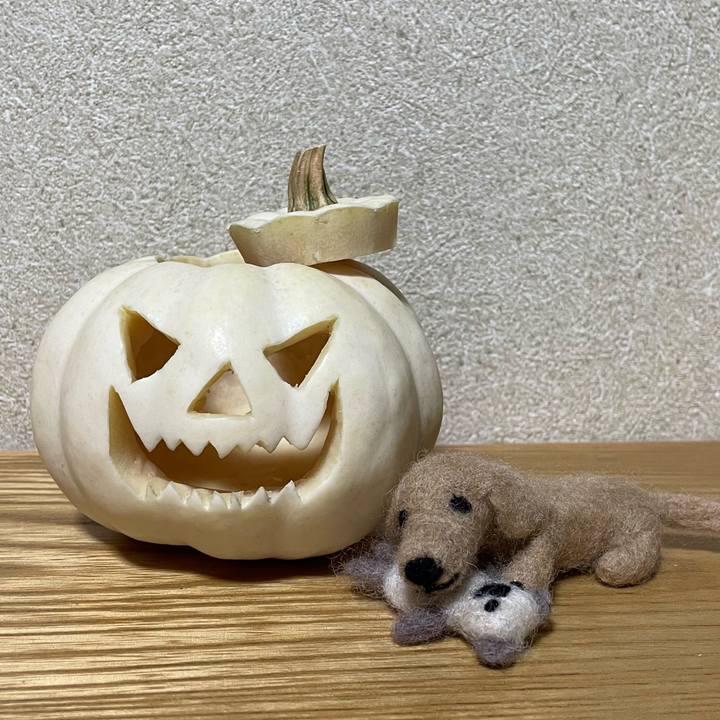 11c44449 113a 4adb bca7 2ebcd9c32d2c 1635391928195