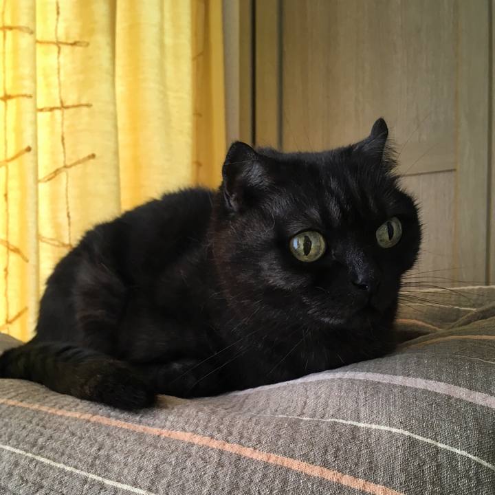 11c470c8 4cb5 49f9 bd83 4efebaa3d165 1529120754806