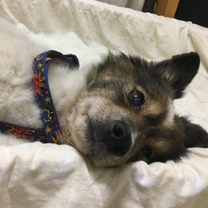 11c473ed 3a1c 4f55 a6a0 2ec968abf315 1631545644120