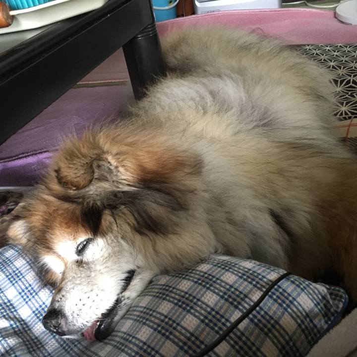 11c4984b bec7 4d29 9d36 090b02b2277d 1610227711571