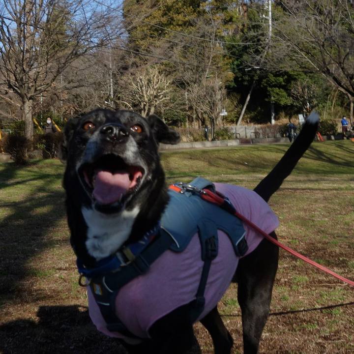 11c49950 11a9 4151 92c9 447bdb74bea0 1710120875018