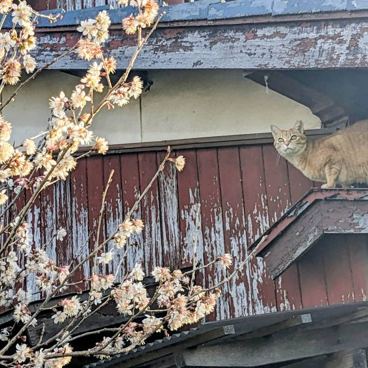 11c4c44a eb2f 4c1c b923 624799435ae5 1772669096698