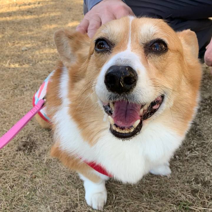 11c4d16d 2157 4858 bc81 6532c0e28bf3 1673938576230