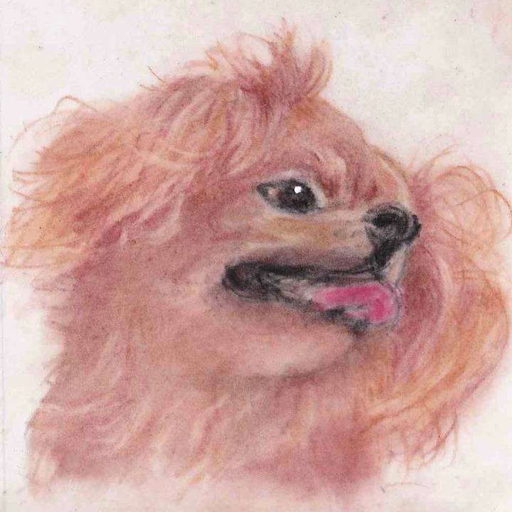 11c4e316 3c06 4e1d bdf0 3d1745e56559 1656802740982